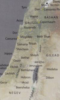 Modern atlas style with satellite-like texture combined with distinct hypsometric elevation tints and clean sans-serif labeling.