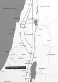 Monochrome flat map with gray water, white land, thin gray hydrography and boundary lines, and dark north-south migration-route arrows.
